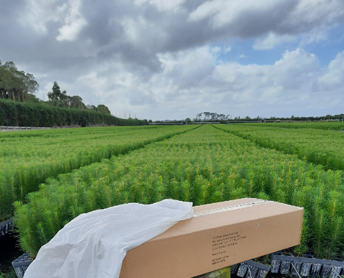 compostable-366 compostable-366
